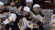 celebrate ice hockey GIF by NHL