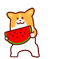 Dog Corgi Sticker