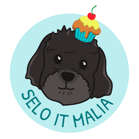 Cupcakedogy Sticker by dog on the go