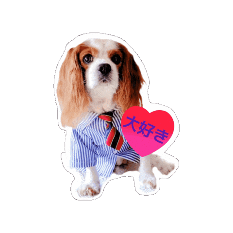 Cavalierkingcharlesspaniel Sticker