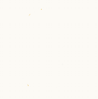 Stadio Graduate GIF by STADIO Higher Education