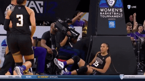 Always Compete Lets Go GIF by Washington Athletics