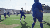 Sjsu Spartanup GIF by San Jose State Spartans