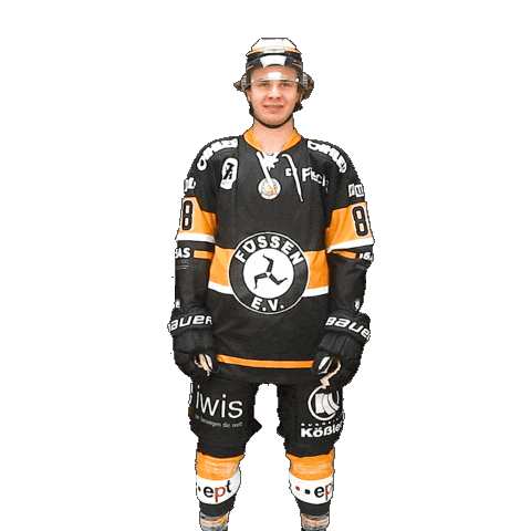 Hockey Fuessen Sticker by EV Füssen