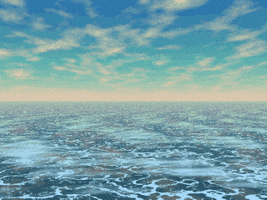 park dolphin GIF