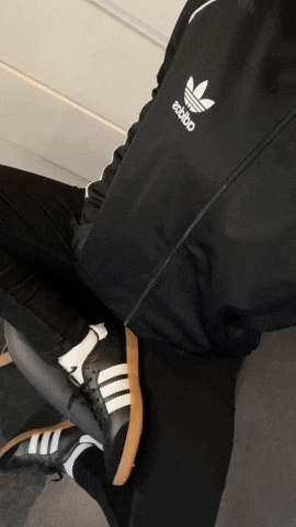 modopolo giphyupload GIF