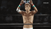 professional wrestling japan GIF by THE WRESTLERS