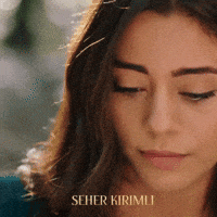 Seher GIF by Eccho Rights