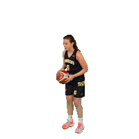 Shoot Tire Sticker by SOH Basketball