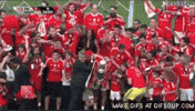 benfica GIF