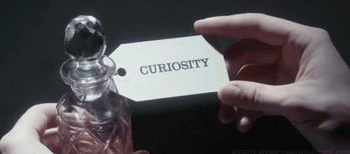 curiosity killed the cat childhood GIF