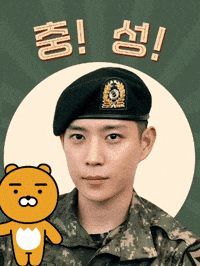 Salute Soldier GIF