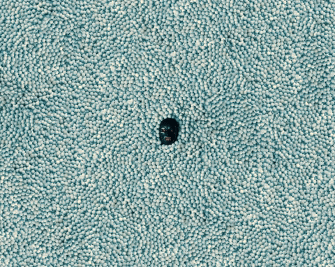 Business Man Rap GIF by M Huncho