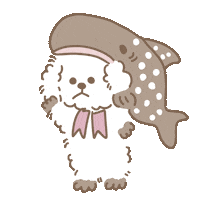Whale Shark Ok Sticker by koimoffee