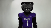 bears facepalm GIF by University of Central Arkansas
