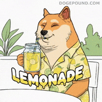 Happy Shiba Inu GIF by Doge Pound