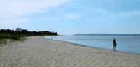 michigan GIF