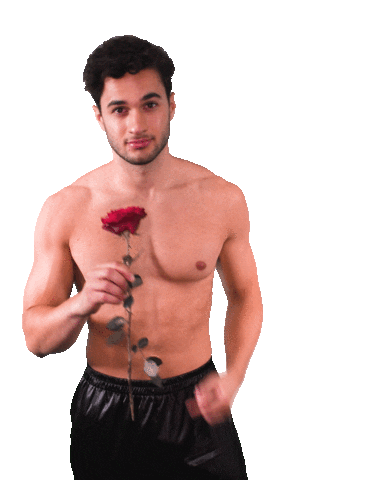 The Bachelorette Dating Sticker by RTLde