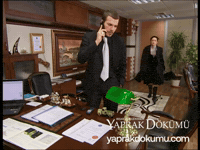 Tokat Yd GIF by Yaprak Dökümü