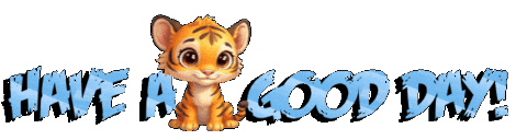 Panda Bear Fox Sticker