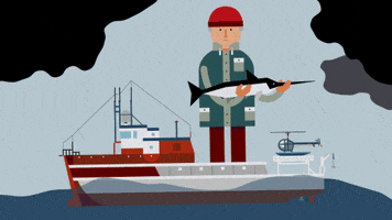 jacques cousteau boat GIF by Marc Lariviere
