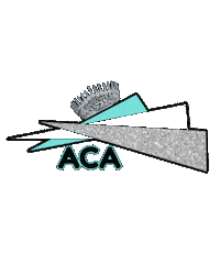 Aca Pageantqueen Sticker by Eskew Consulting