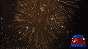 4Th Of July Fireworks GIF by Macy's