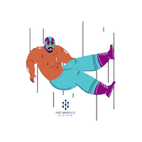 riobravosystems luchador cisco luchalibre ciscoconnect Sticker