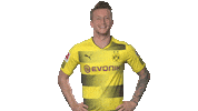 happy borussia dortmund Sticker by Bundesliga