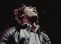 Bob Marley And The Wailers Reggae GIF by Bob Marley