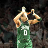 Boston Celtics Basketball GIF
