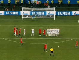 Fifa World Cup Ronaldo GIF