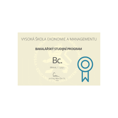 Bc Sticker by VŠEM