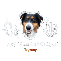 Australian Shepherd Crystals Sticker by IvyMay & Co.