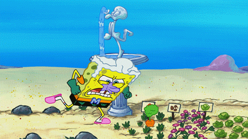 spongebob squarepants hitting carrott GIF by Nickelodeon