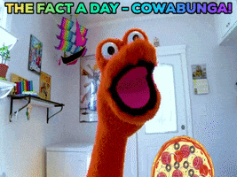 thefactaday happy pizza hungry orange GIF