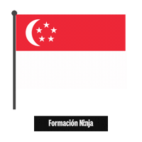 Singapore Flag Sticker by Formación Ninja
