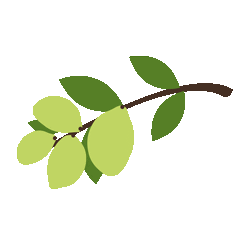 Skincare Plant Sticker by True Botanicals