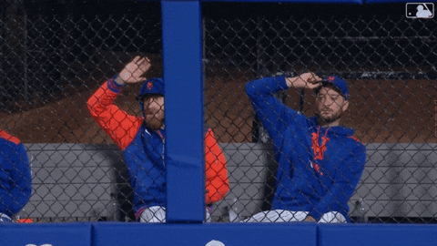 Baseball Wave GIF by New York Mets