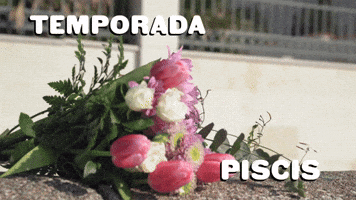 Temporada Piscis
