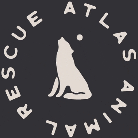 atlasanimalrescue  GIF