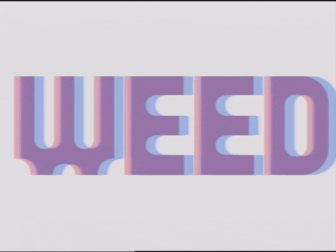 Art Glitch GIF