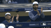 Major League Baseball Sport GIF by MLB