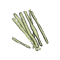 Vegetable Vege Sticker