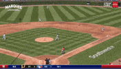 Chicago Cubs Wow GIF