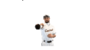 Baseball Swing Sticker by University of Central Oklahoma