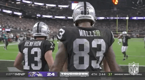 Las Vegas Raiders Football GIF by NFL