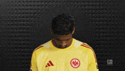 Look Up Eintracht Frankfurt GIF by Bundesliga