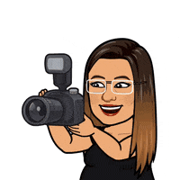 provanessaleao  GIF