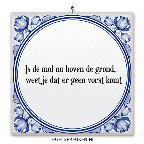 Humor Wijsheid GIF by Tegelspreuken.nl